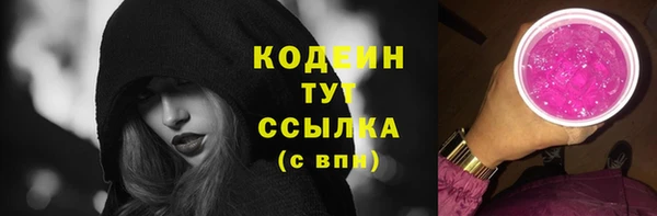 гашик Бородино
