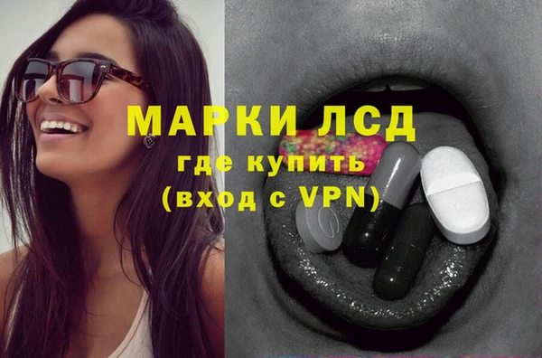 гашик Бородино
