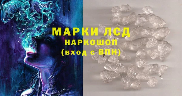 гашик Бородино