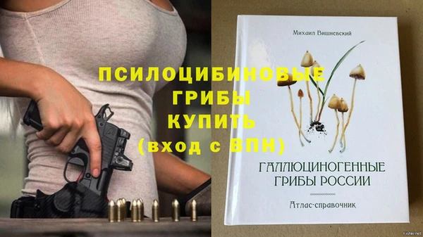 мяу мяу мука Протвино