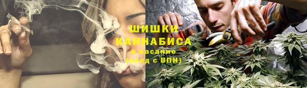 бошки Бронницы