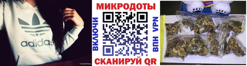 Псилоцибиновые грибы прущие грибы  дарнет шоп  Карпинск 
